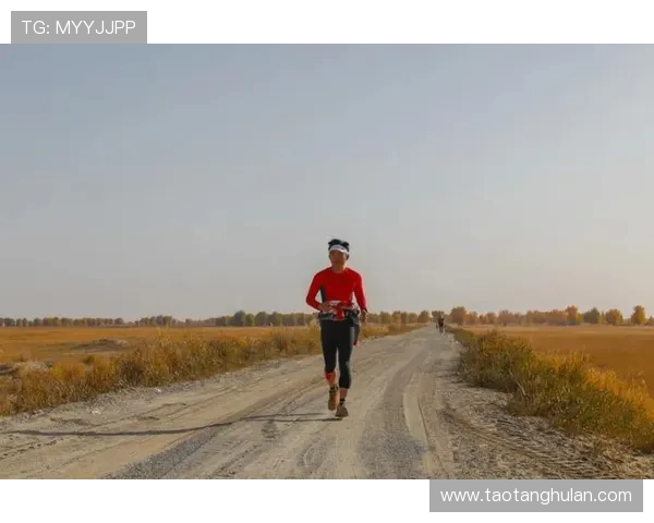 跳水运动的技艺与挑战：探索从入水到飞跃的极限之美