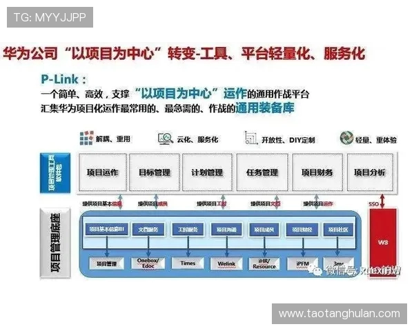 探究现代足球俱乐部运营模式与社区文化深度融合可持续发展路径