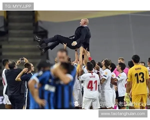 杨伟独家分享排球技巧与心得助你提升竞技水平与团队配合能力