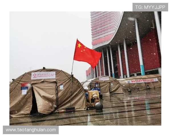 武汉排球队的拼搏历程与荣耀时刻全景纪实