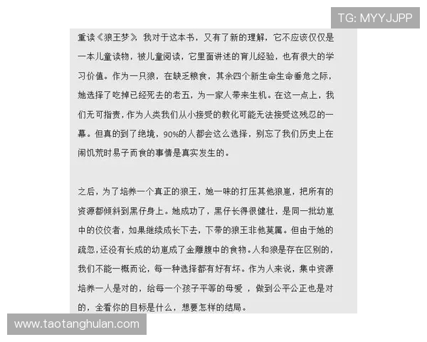 史鸿飞的传奇人生与奋斗历程探秘,启示我们追求梦想的勇气与坚持 史鸿飞的传奇人生与奋斗历程探秘,启示我们追求梦想的勇气与坚持